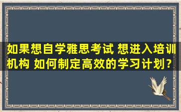 如果想自学雅思考试 想进入培训机构 如何制定高效的学习计划？